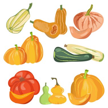 Sonbahar kabak izole üzerinde beyaz arka plan belirleme