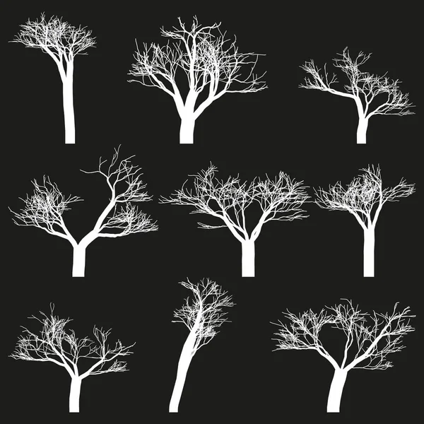 Ensemble de contours blancs arbres fond noir . — Image vectorielle