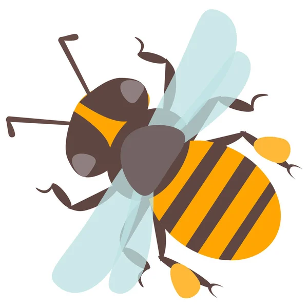 Vector feliz dibujos animados abeja vuelo delicioso miel insecto aislado animal — Vector de stock
