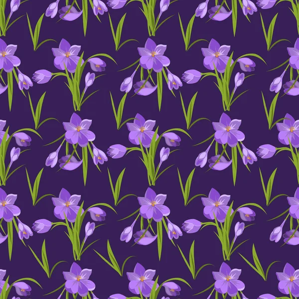 Primavera bonito violeta crocuses fundo padrão no branco . —  Vetores de Stock