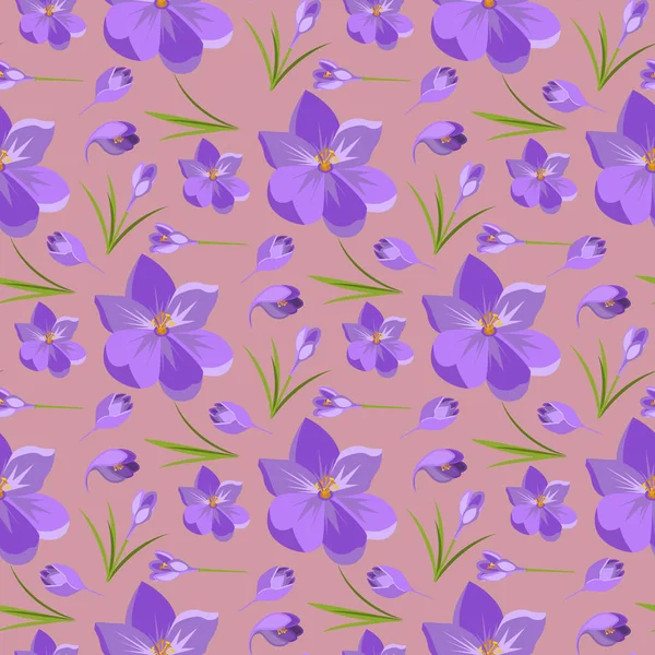 Primavera bonito violeta crocuses fundo padrão no branco . —  Vetores de Stock