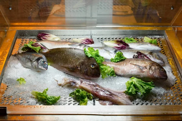 Frozen fish with salad leaves