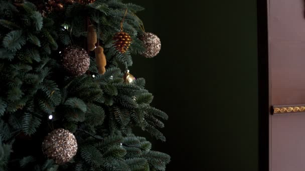 La familia decora el árbol de Navidad — Vídeo de stock