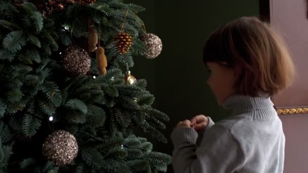 La familia decora el árbol de Navidad — Vídeos de Stock