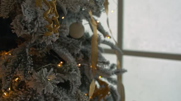 Χριστουγεννιάτικο στολίδι στο δέντρο με φώτα bokeh. — Αρχείο Βίντεο