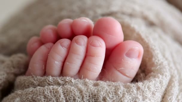 Kleine voeten van een pasgeboren baby — Stockvideo