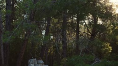 gün batımında eski bir kale kalıntıları
