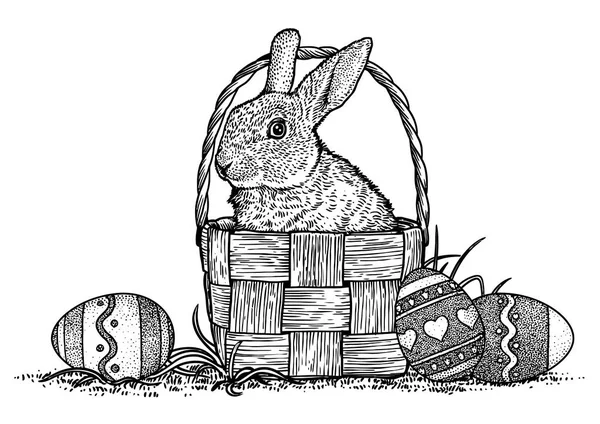 Rabbit, bunny, basket, eggs, easter illustration, drawing, engraving, line art — Stock Vector