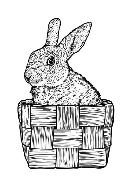 Kaninchen, Hase, Korb, Osterillustration, Zeichnung, Gravur, Linienkunst — Stockvektor