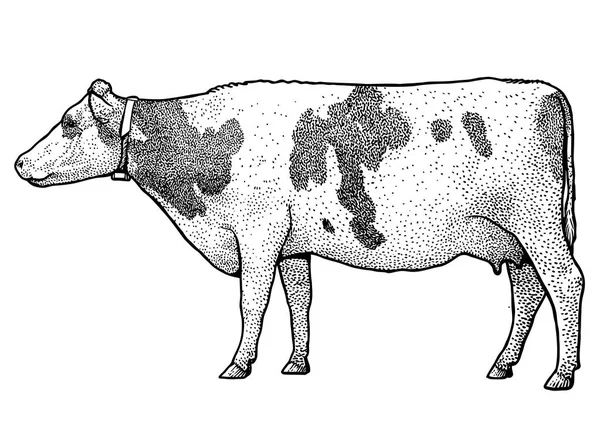 Ilustración de vaca, dibujo, grabado, tinta, arte de línea, vector — Vector de stock