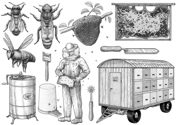 Beekeeping Equipment Illustration Drawing Engraving Ink Line Art Vector — Stock Vector