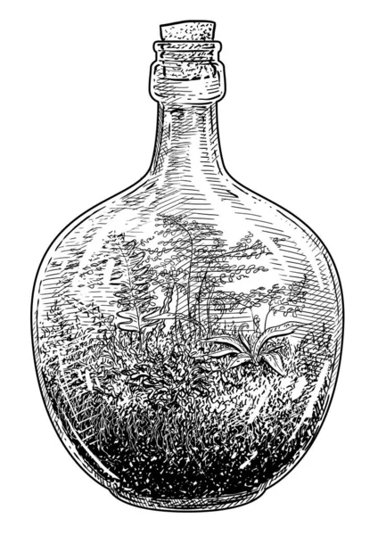 Florarium Illustration Terrarium Dessin Gravure Encre Art Linéaire Vecteur — Image vectorielle