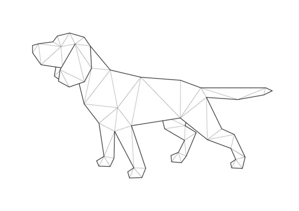 Köpeklerin düşük polimerli çizimleri. Beagle yürüyor. — Stok Vektör
