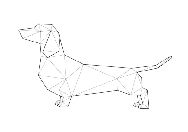 Faible poly illustrations de chiens. Dachshund debout . — Image vectorielle