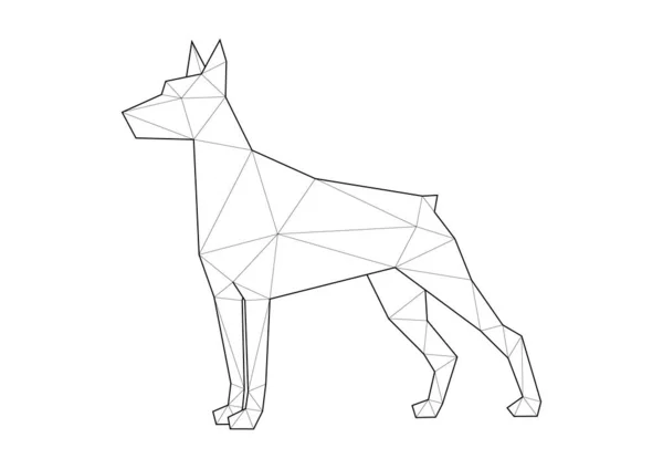 Bajo poli ilustraciones de perros. Doberman de pie . — Vector de stock