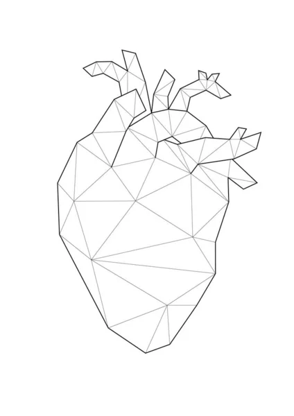 Baixo poli ilustrações de coração. Ilustração vetorial do coração da anatomia. Bom para decoração de quarto ou outros requisitos . — Vetor de Stock