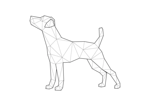 Low poly illustrations of dogs. Jack Russell standing on white background. — Stock Vector