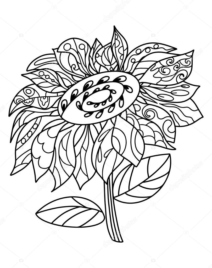 Black and white coloring page for kids or adults, which contain hand drawn image for coloring. Black and white sunflower with pattern on petals