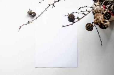 Noel maketi. Beyaz masa üzerinde beyaz yaprak a4 formatı, kozalaklı ve tarla kozalaklı. Sanat, grafik, tasarım ve resim sunumu için iyidir. Beyaz arkaplan.