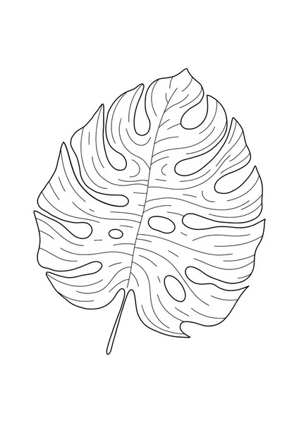 Sílhueta de desenho manual da folha tropical monstera deliciosa isolada sobre fundo branco. Adequado para decoração de parede, logotipo, pacote — Vetor de Stock