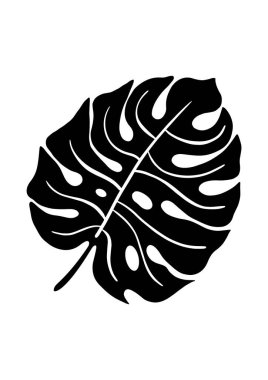 Beyaz arka planda izole edilmiş tropikal yaprak canavarının el çizimi silueti. Duvar sanatı, logo ve paket basmak için uygun