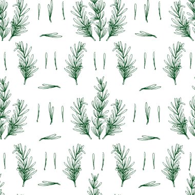 Elle çizilmiş biberiye dalları, otlar arka plan ile sorunsuz vektör desen