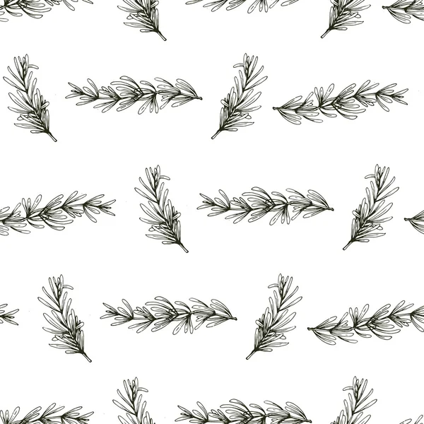 Modèle vectoriel sans couture avec branches de romarin dessinées à la main, fond d'herbes — Image vectorielle