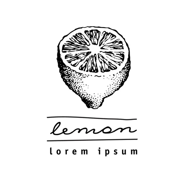 Vector hand getekende limoen of citroen. — Stockvector