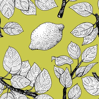Sorunsuz vektör desen limon yaprakları ile