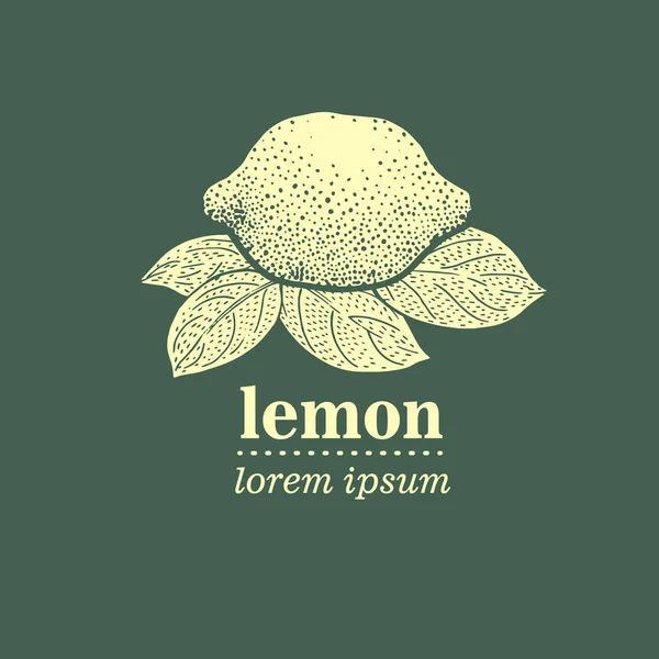 Ilustración vectorial de hojas de limón — Vector de stock