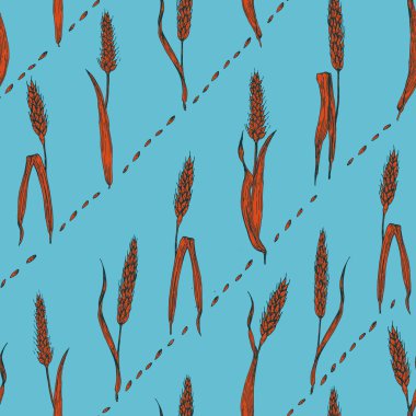 Dikişsiz vektör buğday desen. Elle çizilmiş.