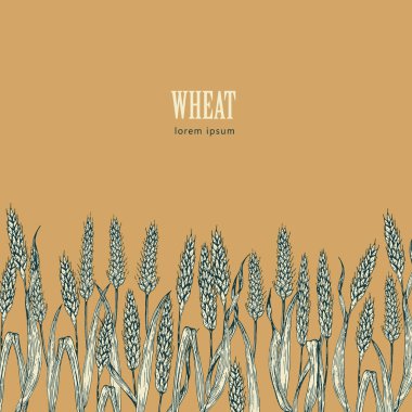 Buğday alan vektör çizim