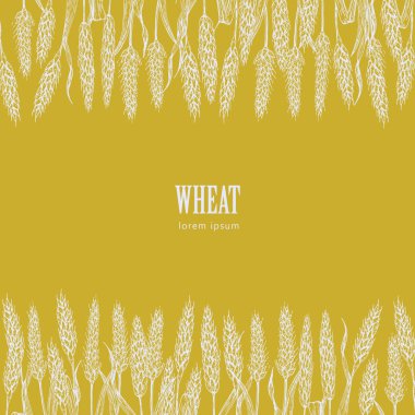 Buğday alan vektör çizim