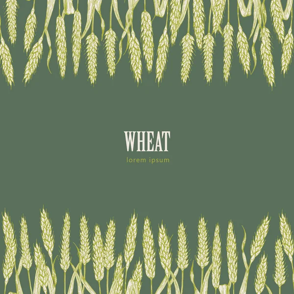 Campo de ilustração do vetor de trigo — Vetor de Stock