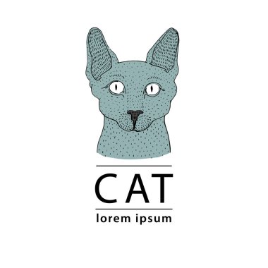 Sphynx kedi logosu, vektör çizim