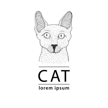 Sphynx kedi logosu, vektör çizim