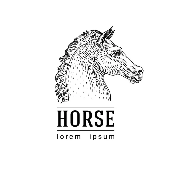 Silhouette vettoriale della testa di un cavallo — Vettoriale Stock