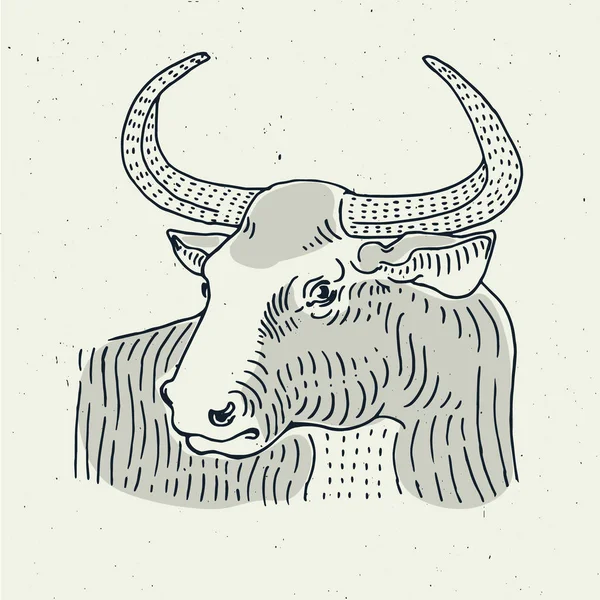 Imagen vectorial de un toro . — Vector de stock