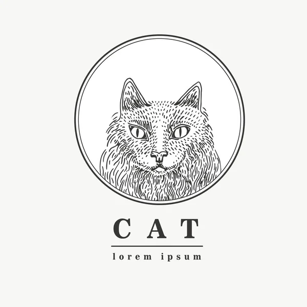 Katten illustration vektor — Stock vektor