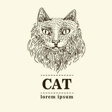 Kedi illüstrasyon vektör