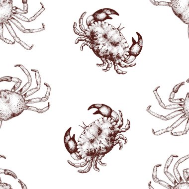 Yengeç ile vektör deniz ürünleri seamless modeli. Retro lillustration.