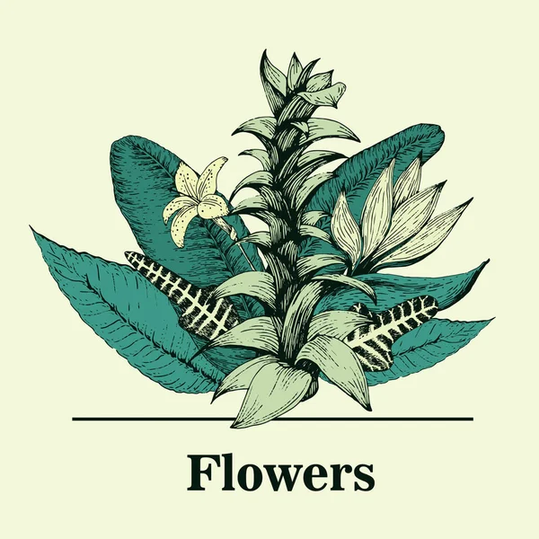 Ручной рисунок векторной ботаники. Винтажный шаблон логотипа . — стоковый вектор