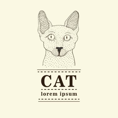 Sphynx kedi logosu, vektör çizim