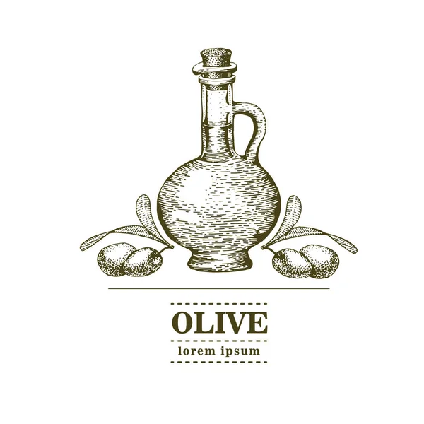 Rama gráfica de olivo. Plantilla de logotipo dibujado a mano. Ilustración vectorial utilizada para la publicidad de productos oleícolas naturales. vintage — Vector de stock