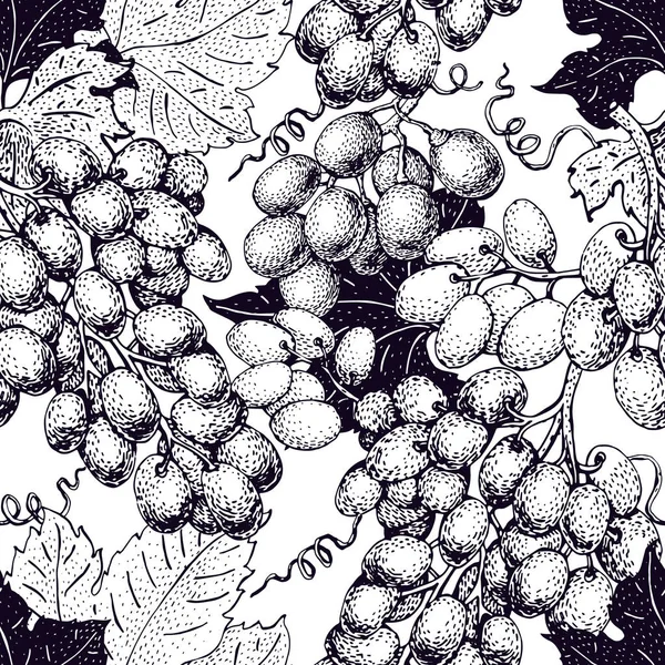 Vector patrón sin costura con uva. Puede ser utilizado para fondo, diseño, invitación, banner, embalaje. Ilustración dibujada a mano retro — Archivo Imágenes Vectoriales