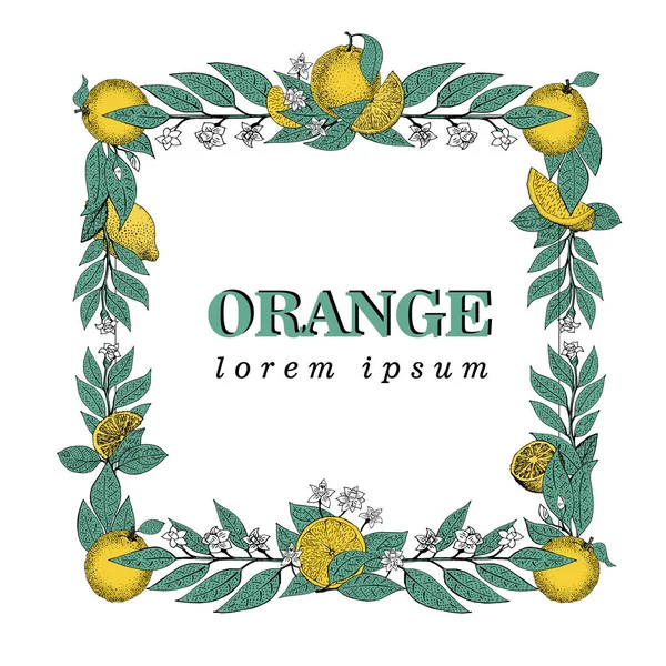 Vector hand getekende vierkante frame van bladeren en oranje vruchten. Vintage illustratie. Logo sjabloon — Stockvector