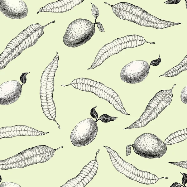 Mango tree vintage vzor bezešvé. Botanická ovoce pozadí. Vyryto. Vektorové ilustrace — Stockový vektor