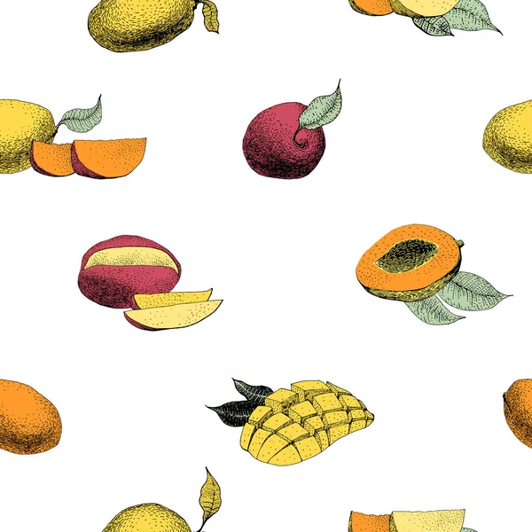 Mango árbol vintage patrón sin costuras. Fondo de fruta botánica. Grabado. Ilustración vectorial — Archivo Imágenes Vectoriales