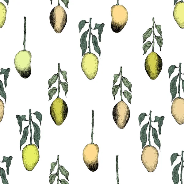 Mango tree vintage vzor bezešvé. Botanická ovoce pozadí. Vyryto. Vektorové ilustrace — Stockový vektor