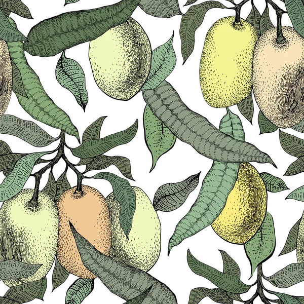 Mango tree vintage seamless pattern. Botanical mango fruit background. Engraved mango. Vector illustration Royalty Free Stock Vectors